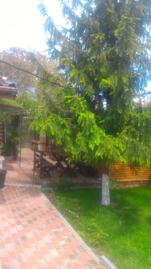 Casa Mola Leilighet Mangalia Eksteriør bilde