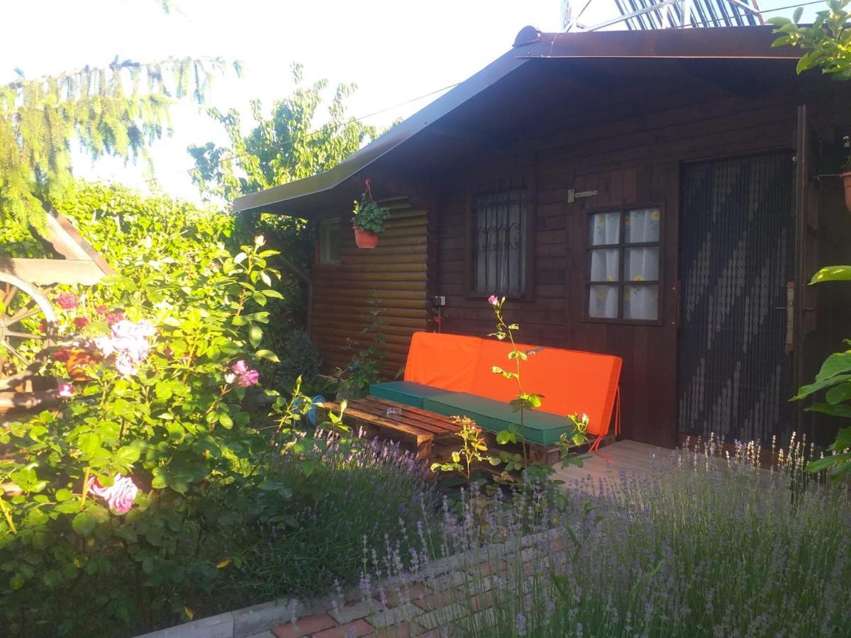 Casa Mola Leilighet Mangalia Eksteriør bilde