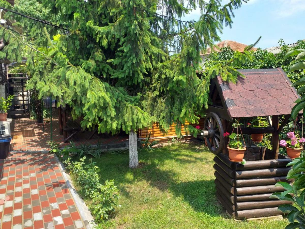 Casa Mola Leilighet Mangalia Eksteriør bilde